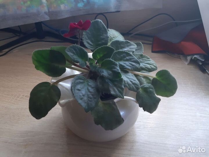 Кашпо горшок для цветов