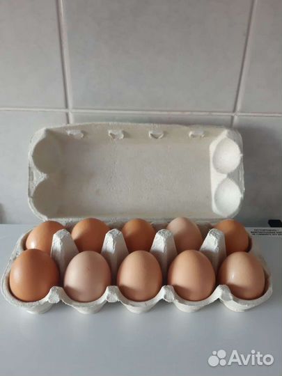 Домашние куриные яйца