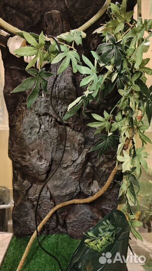 Террариум для хамелеона 90 45 45