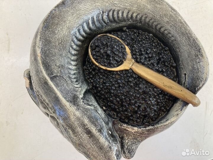 Копилка рыба и икра