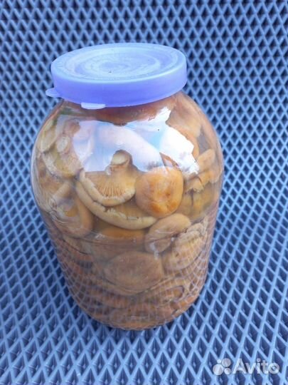 Грибы рыжики соленые