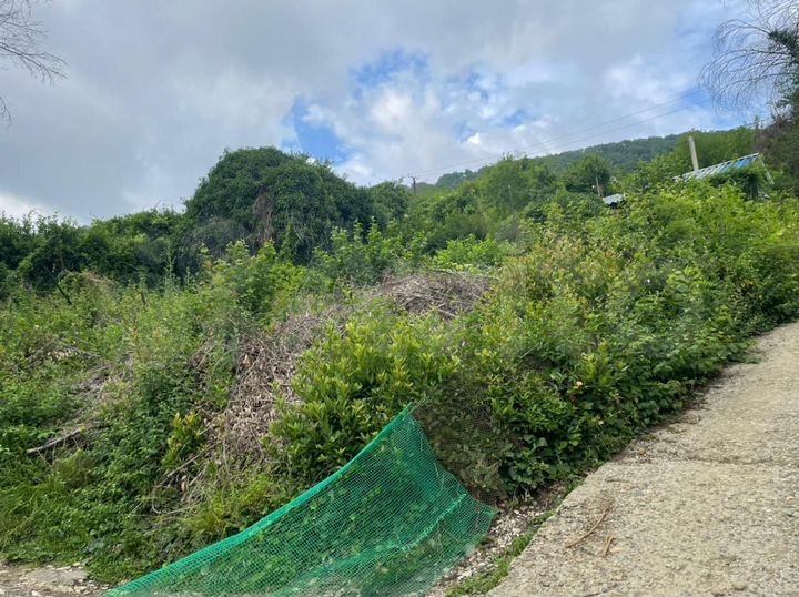 Участок 7,1 сот. (СНТ, ДНП)