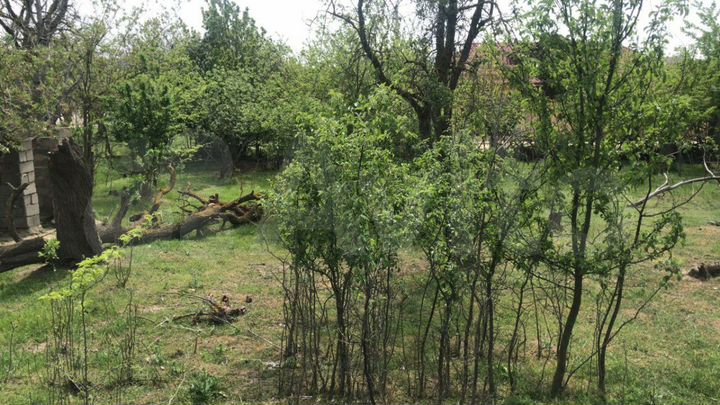 Участок 11 сот. (ИЖС)