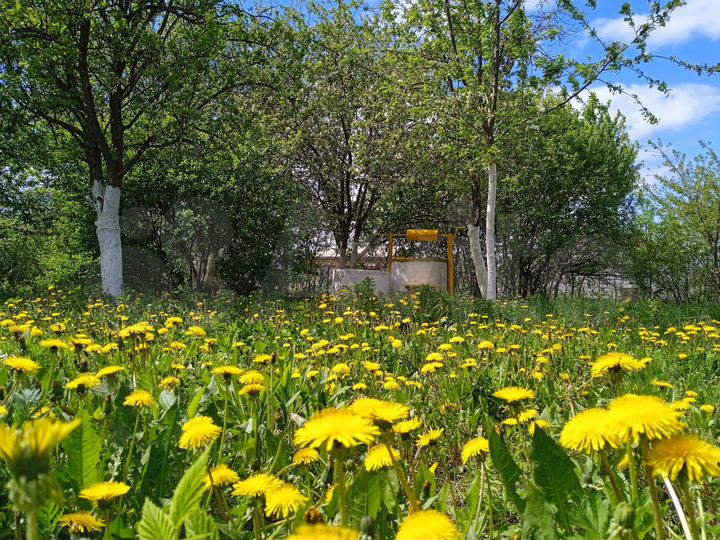 Участок 7,5 сот. (ИЖС)