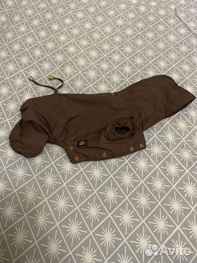 Костюм для собаки