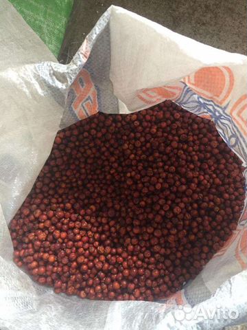 Ягоды можжевельника