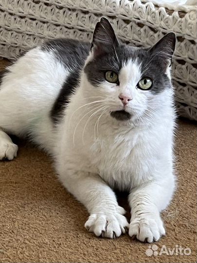 Марфушечка-душечка в поисках семьи