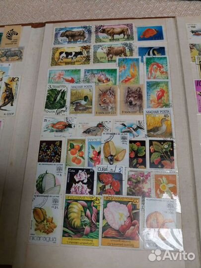 Коллекция марок СССР