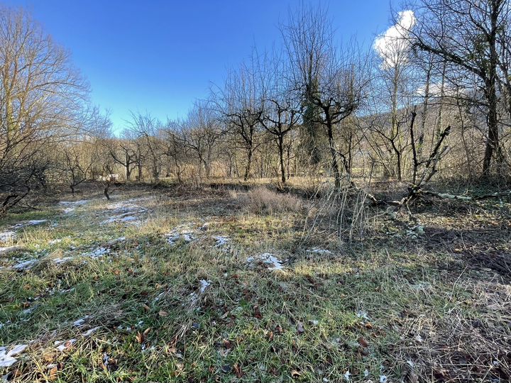 Участок 7,3 сот. (ИЖС)