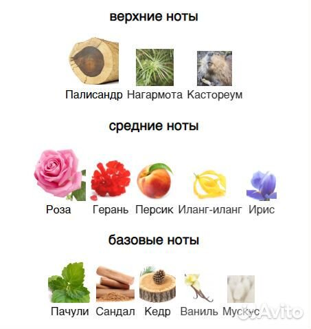 Evoke Parfums Genty