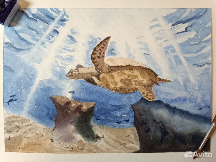 Акварельные картины