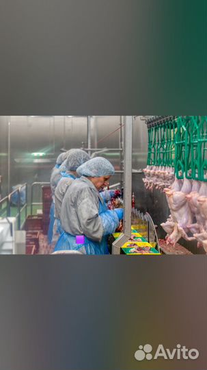 Разнорабочий (вахта г Курск )