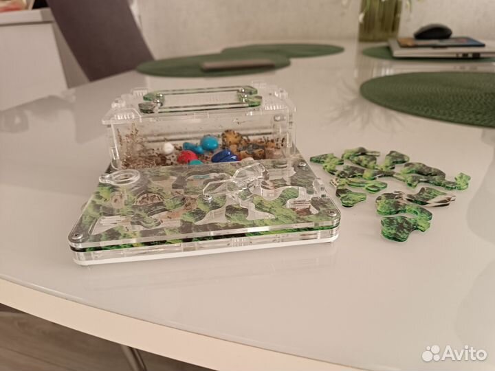 Муравьиная ферма с муравьями