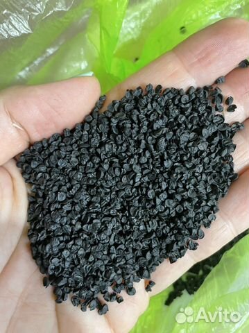 Предзаказы на октябрь. Семена ялтинского лука