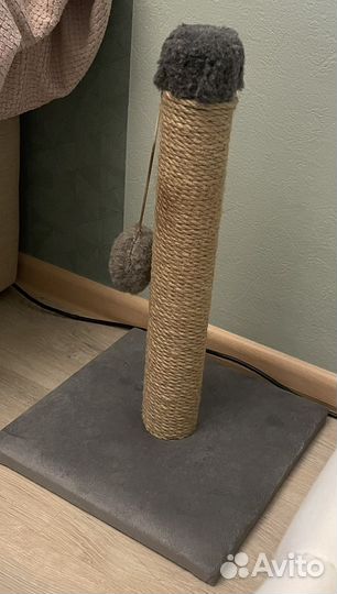 Когтеточка