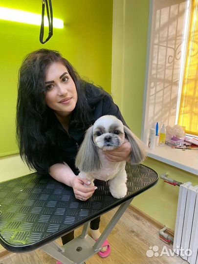 Груминг собак