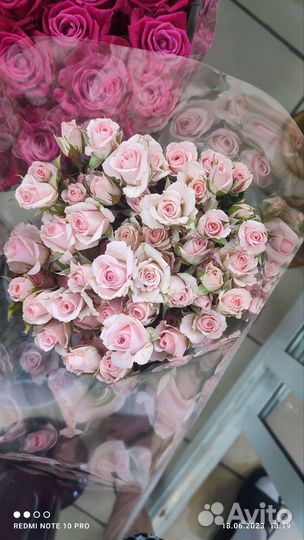 Кустовые Розы. Свежие