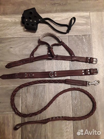 Ошейник + Поводок + Недоуздок+ Намордник