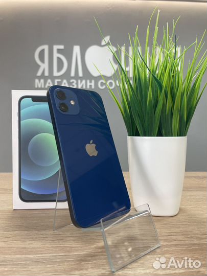 iPhone 12, 256 ГБ