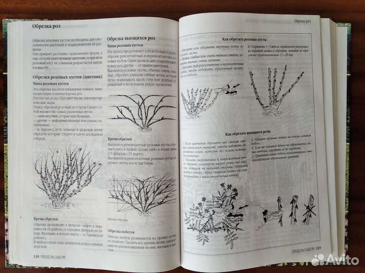 Создай свой сад