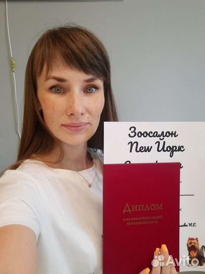 Стрижка кошек и собак, ветеринарный врач