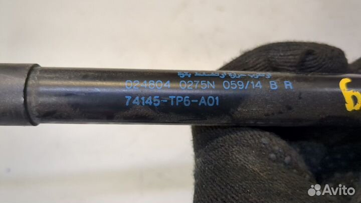 Амортизатор капота Honda Crosstour, 2011