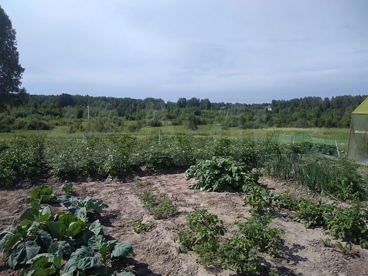 Дом 35 м² на участке 25 сот.