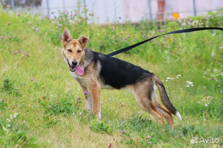 Ладный подросток