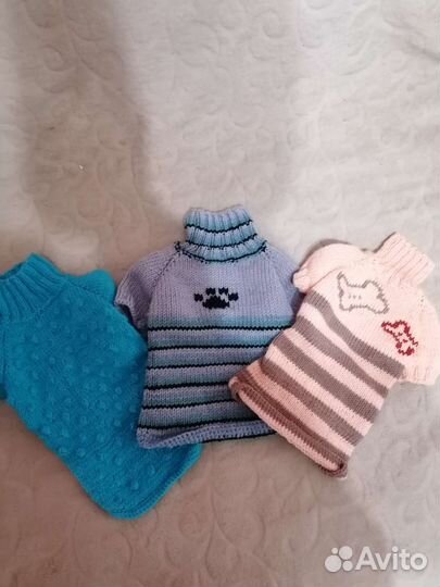 Одежда для маленьких собак