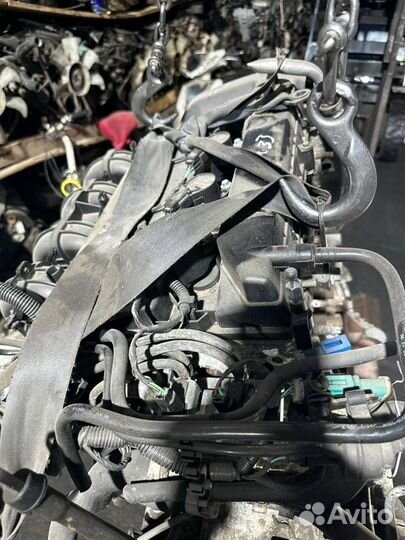 Двигатель Ford Focus aoda 2.0