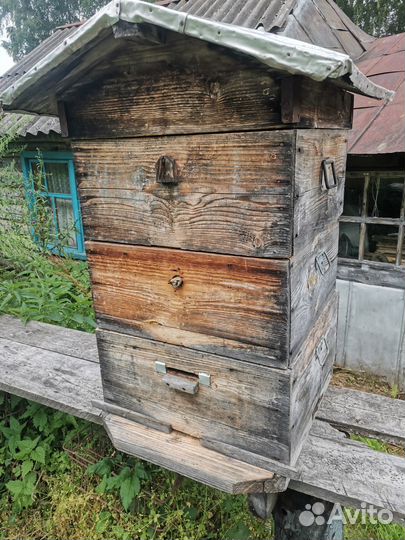 Ульи для пчел