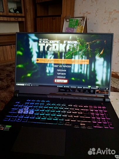Asus Rog strix G17 G713IM