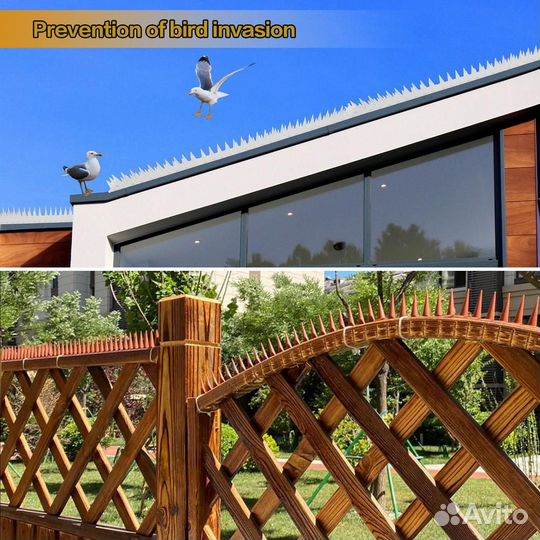 Шипы против голубей и котов