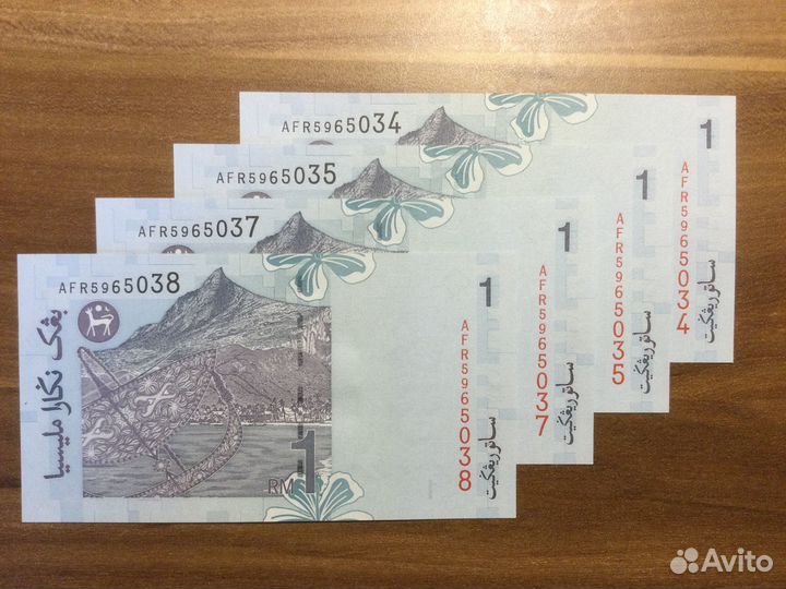 Банкноты - малайзийские ринггиты - новые