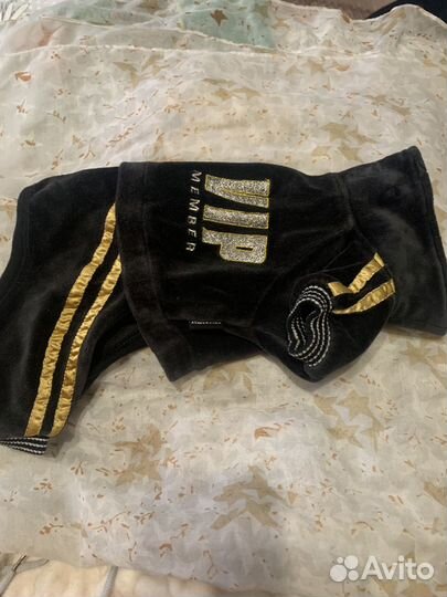 Комбинезон для маленькой собаки