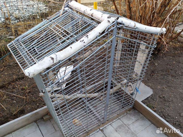 Клетка вольер для крупных птиц