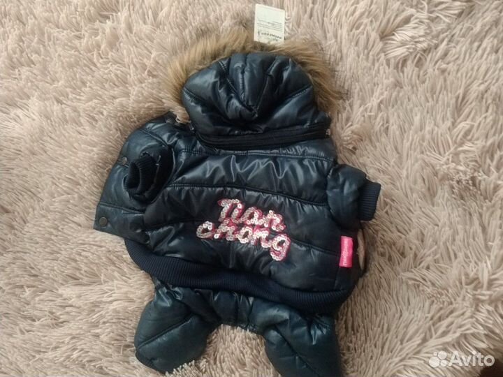 Одежда для маленьких собак и кошек