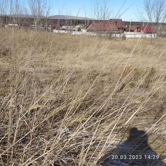 Участок 14 сот. (СНТ, ДНП)