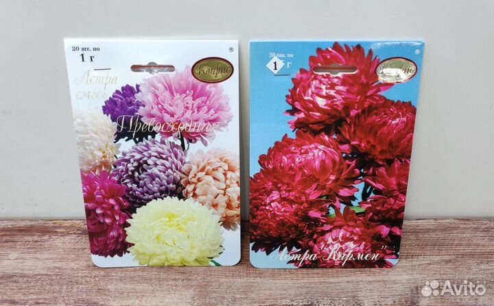 Семена Астра Каприс