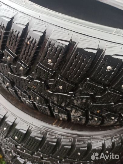 Maxxis ArcticTrekker NP3 205/60 R16