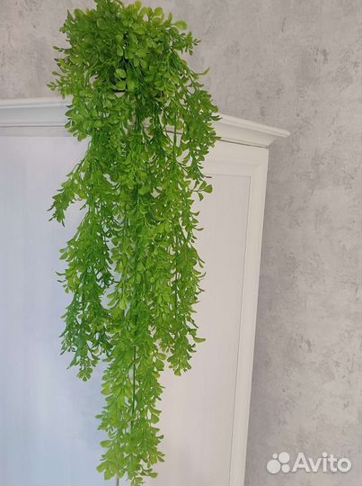 Ампельное растение. 84 см