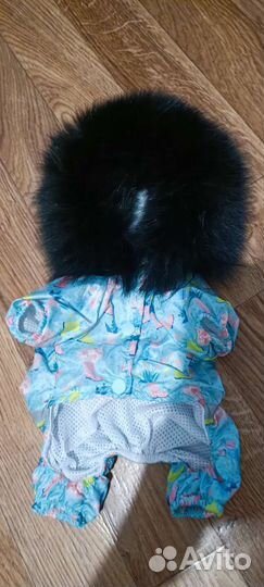 Одежда для мини собачки