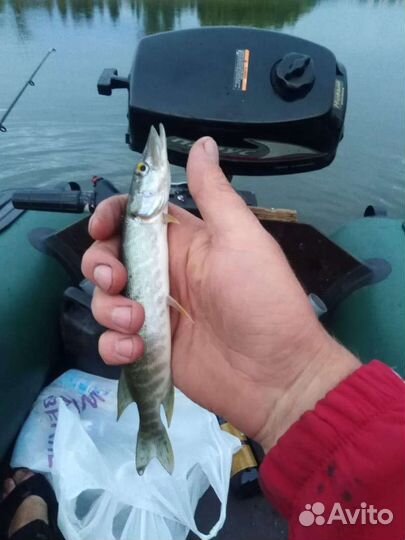 Лодка с мотором