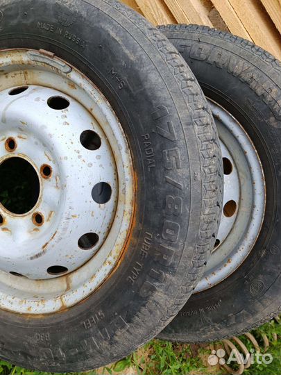 Forward Professional 301 175/80 R16 100