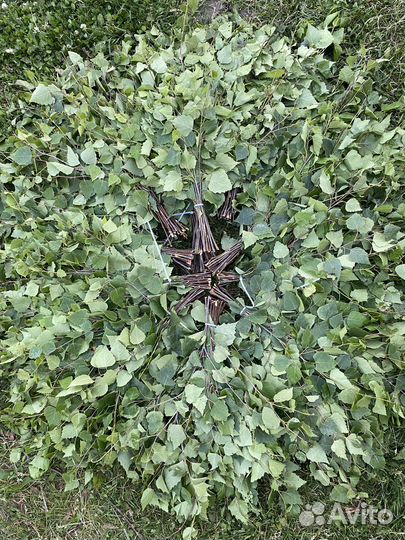 Веники для бани