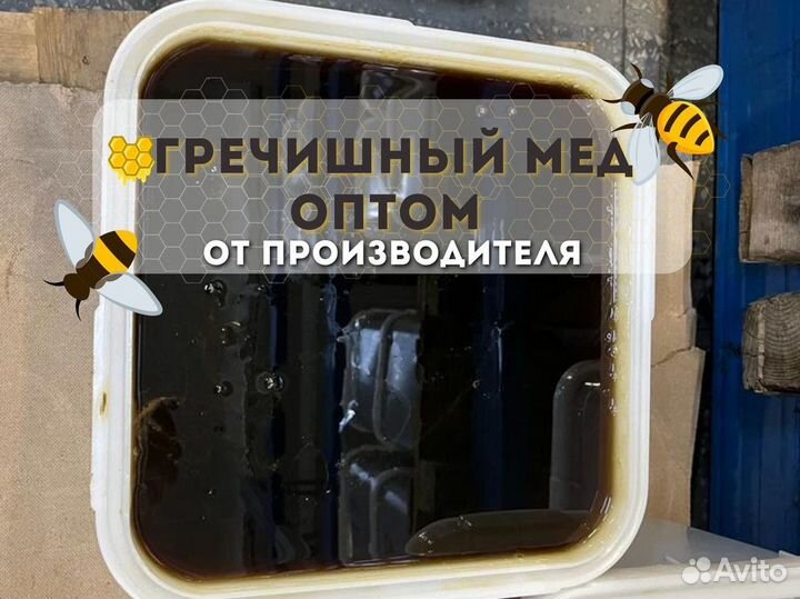 Гречишный мёд оптом