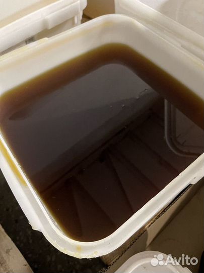 Дягиль мед свежий оптом