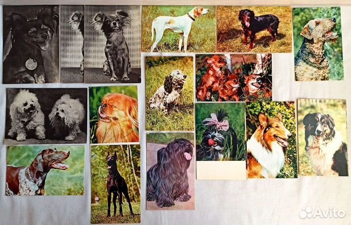 Открытки СССР чистые