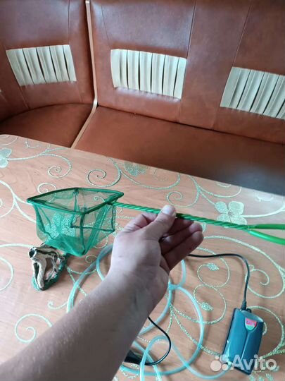 Для аквариума