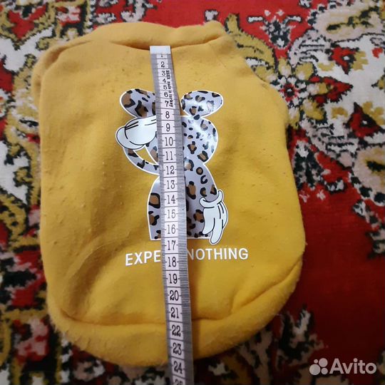 Одежда для собак